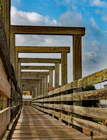 Bridge Over Tranquil Longhorns