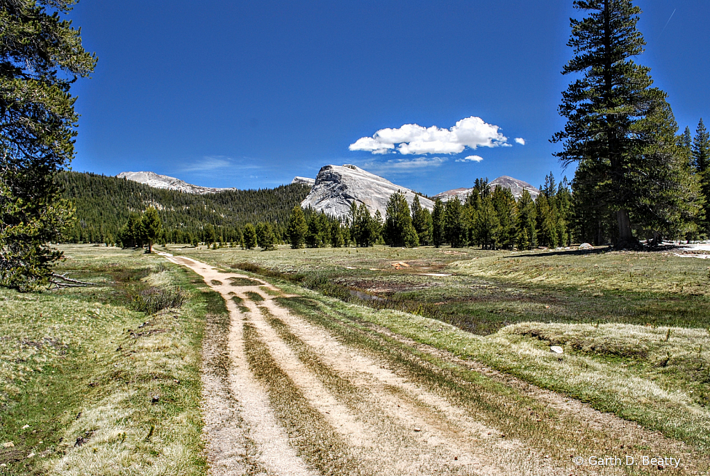 Hiking in Yosemite National Park 