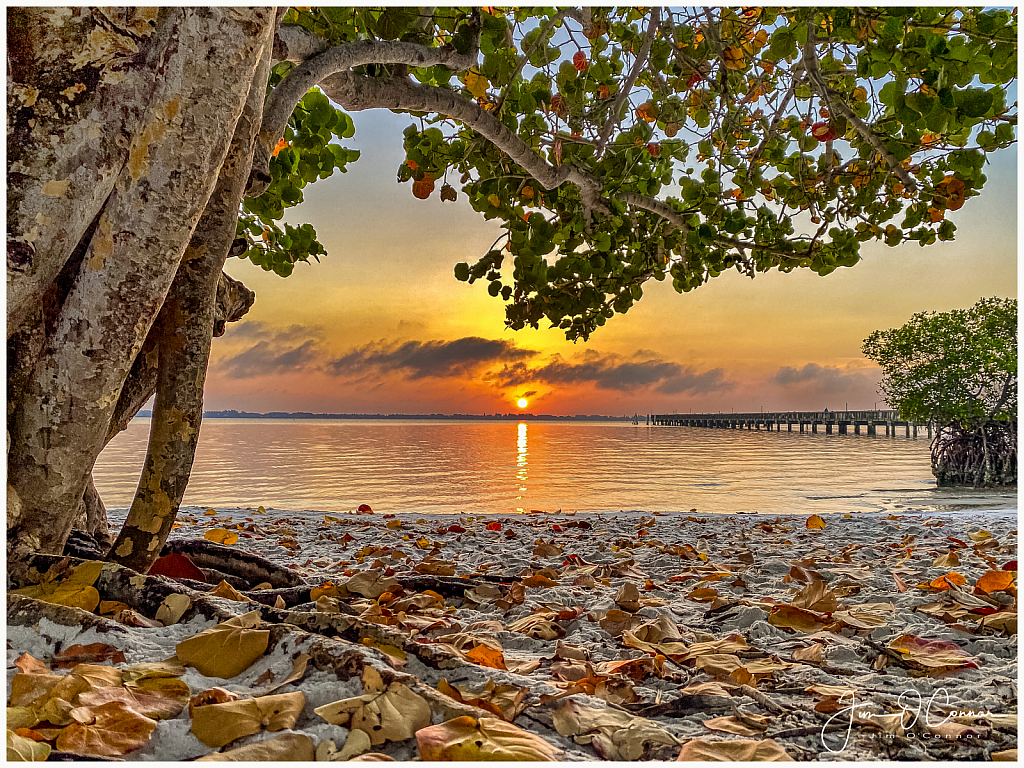 Indian River Sunrise 3-26-20