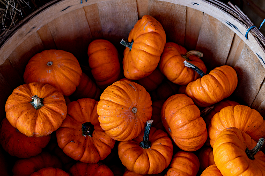 Pumpkins