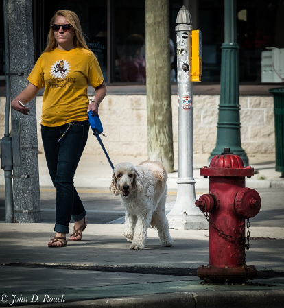 Eye on the Hydrant