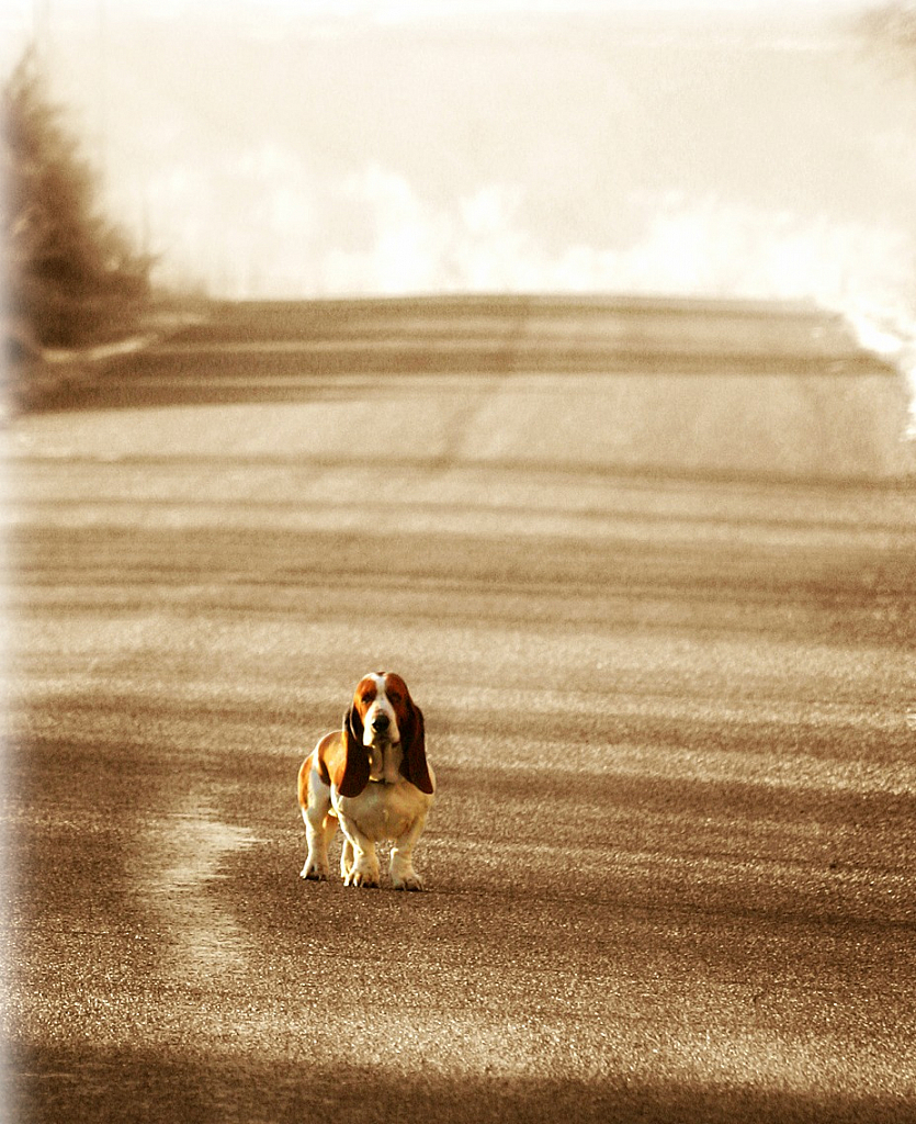 Guarding the Road