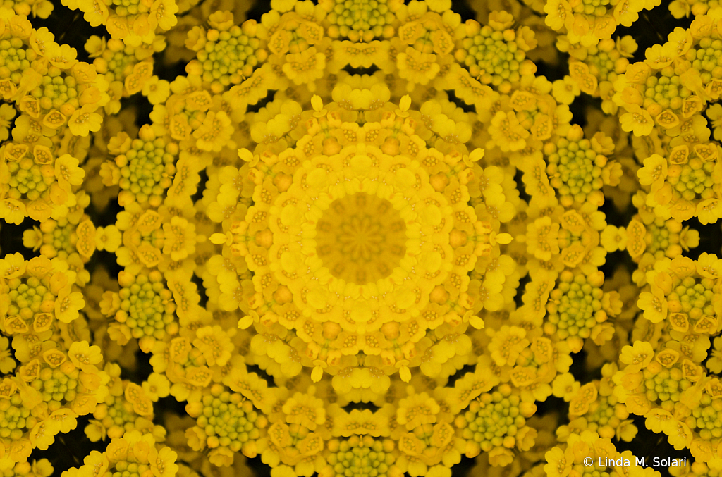 Yellow Kaleidoscope