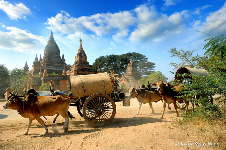 Image of Myanmar