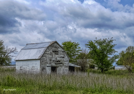 Weathered Wonder