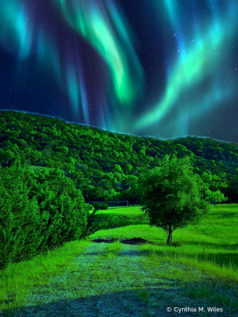 Northern Lights