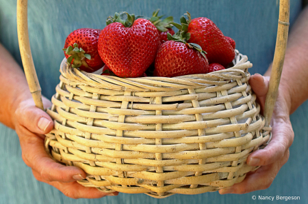 Fresh Strawberries