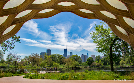 Chicago Skyline