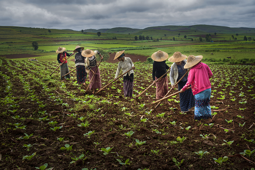 Agriculture