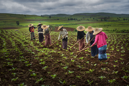 Agriculture