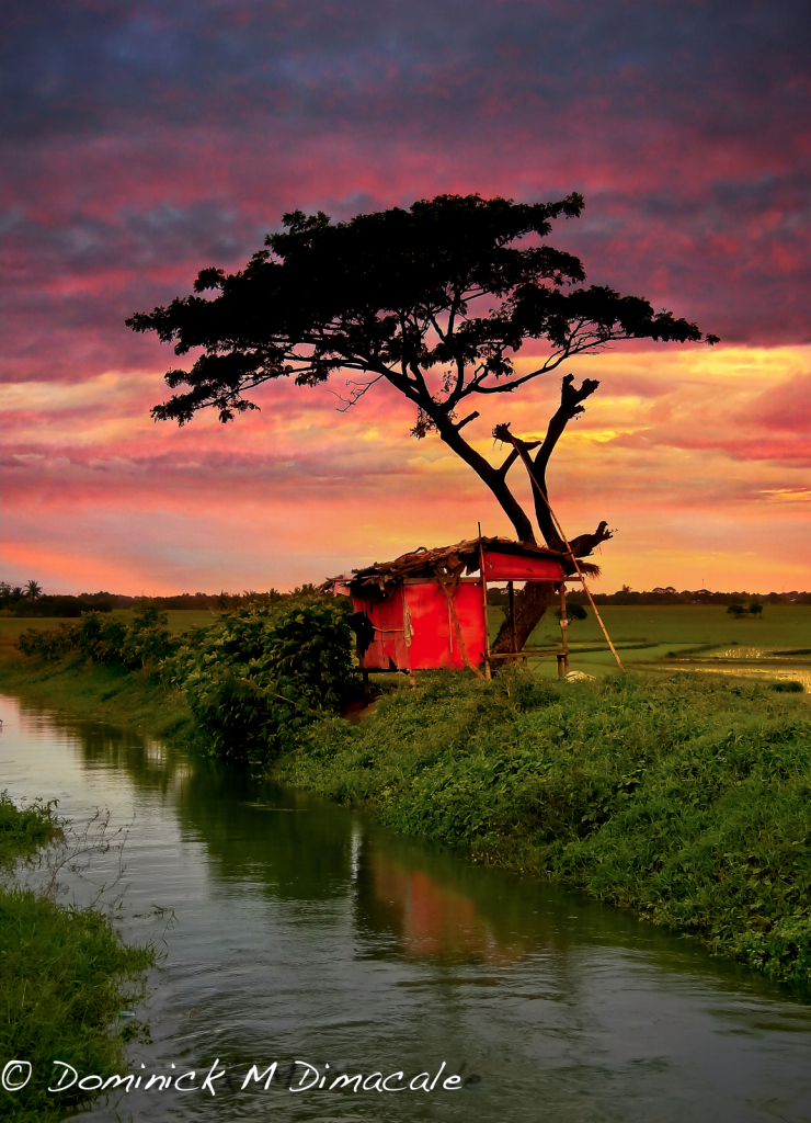 ~ ~ CREEKSIDE SUNSET ~ ~