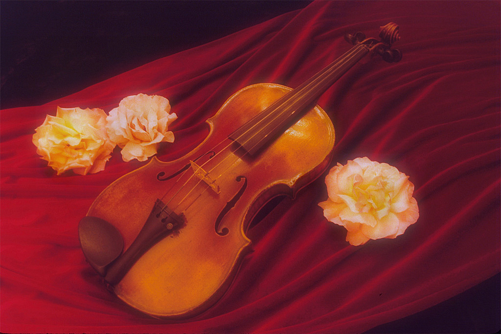 Violin with Roses