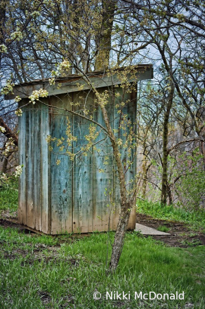 Outhouse in Spring