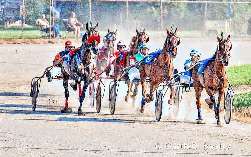  ----   Action - Harness Racing 