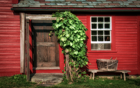 Side Door, Fruitlands Farmhouse, Harvard MA