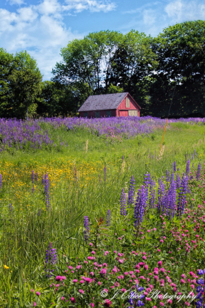 Bunker Hill Red Barn