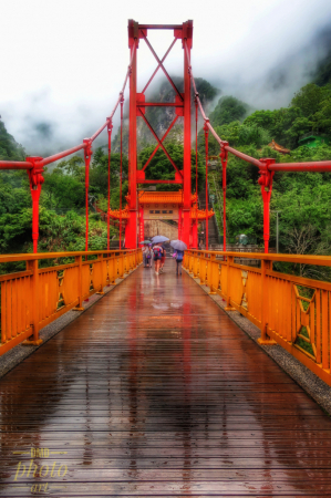 ~ ~ WET SUSPENSION BRIDGE ~ ~ 