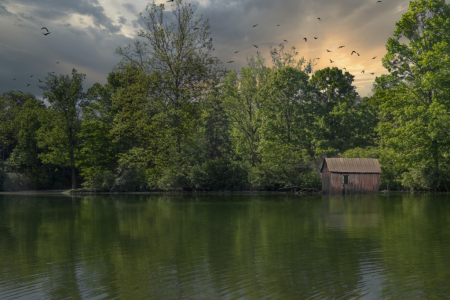 Cabin on the Water