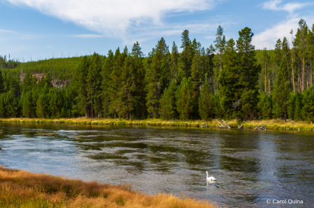 On the Banks of the Yellowstone River