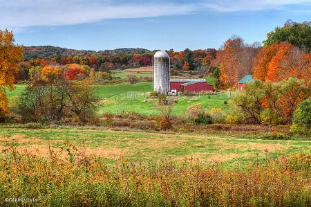 Nestled In the Foothills