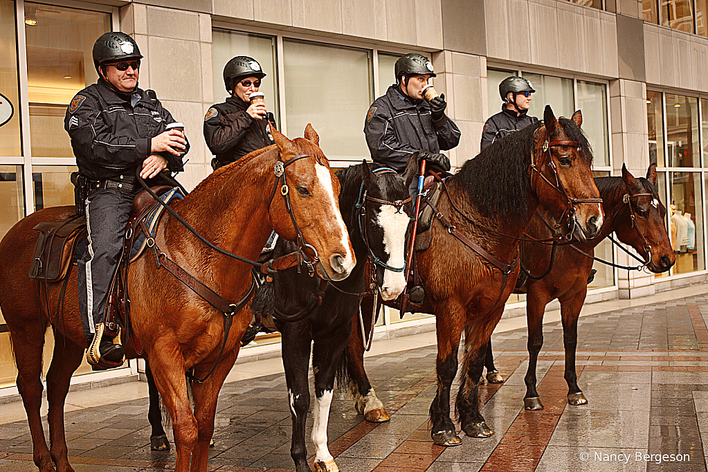 Seattle Mounted Police