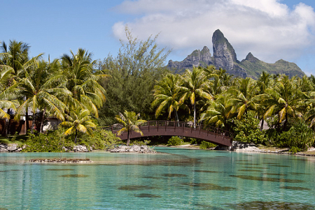 Bridge over the Lagoon