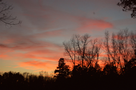 Red Sky at Night