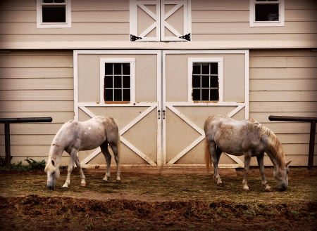 Synchronized Grazing