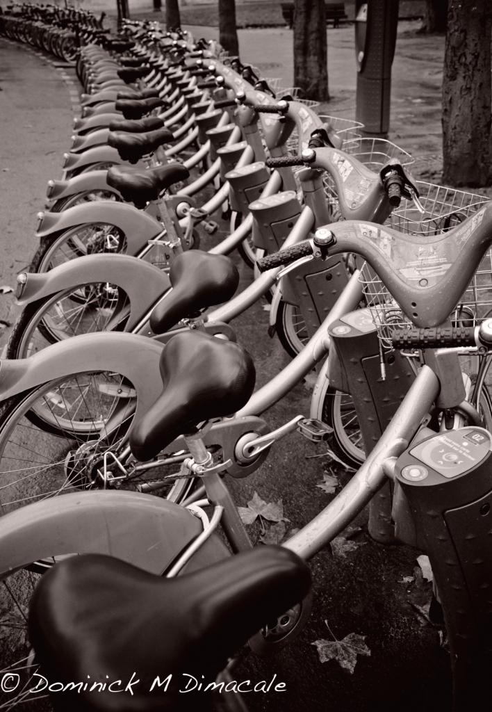 ~ ~ PARKED BICYCLES ~ ~