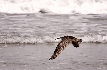 In Flight