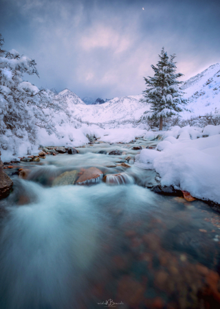 Photography Contest Grand Prize Winner - July 2020: Colored water