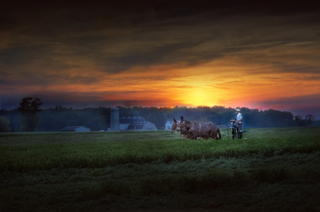 Amish Father and Son