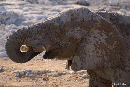 Mud, mud, glorious mud!