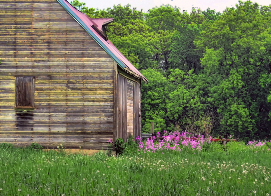 Flowery Farm