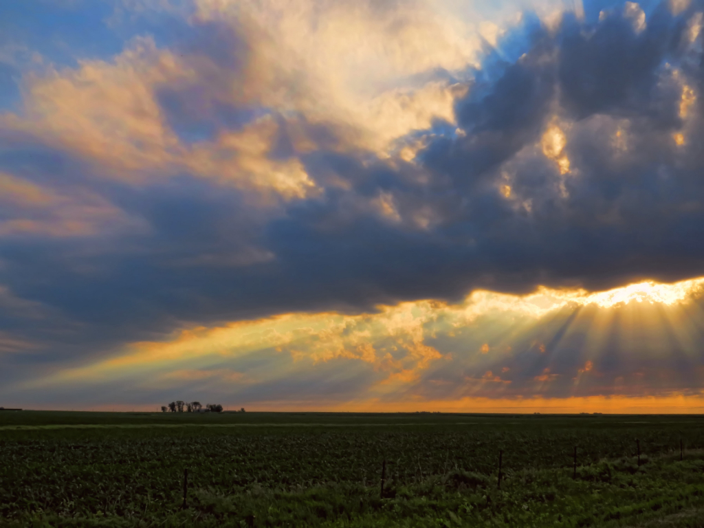 Heaven Blesses The Corn