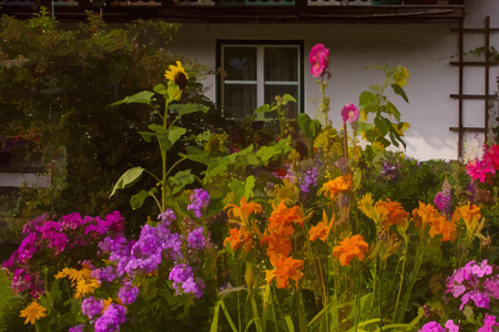 Farm House Garden