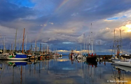 Rainbow & Reflections