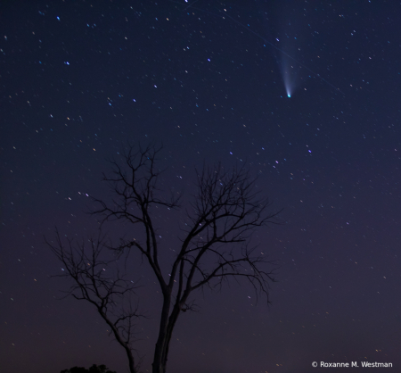 Comet and meteor in the night skies