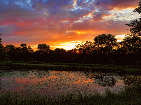 Love Sunrises At The Pond