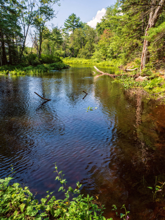 Pemaquid River View