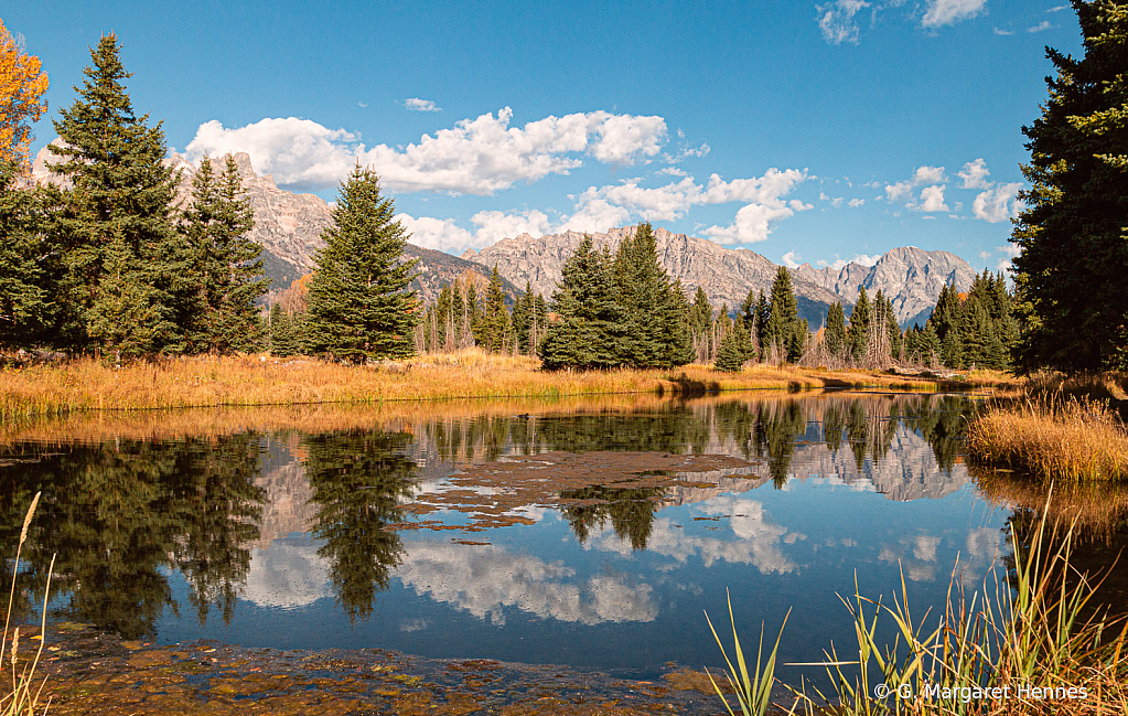 Reflections Snake River 