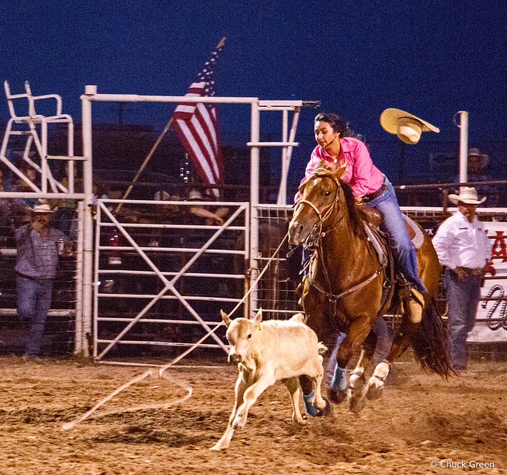 Cutting Horse