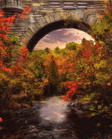 Acadia National Park,ME