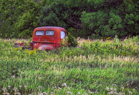 Left In The Field