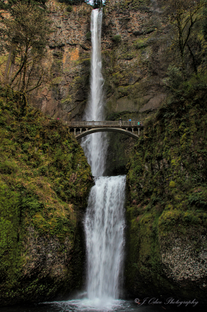 Multnomah Falls #2