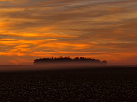 Fog And Sunrise