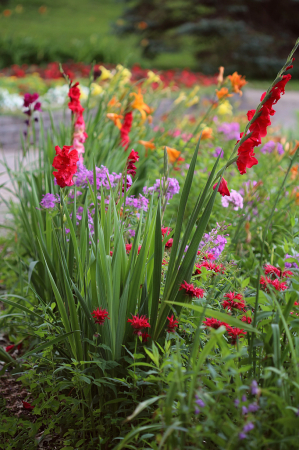 A Garden At The Park