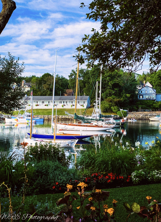 Garden by The Sea