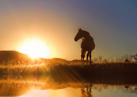 Daybreak