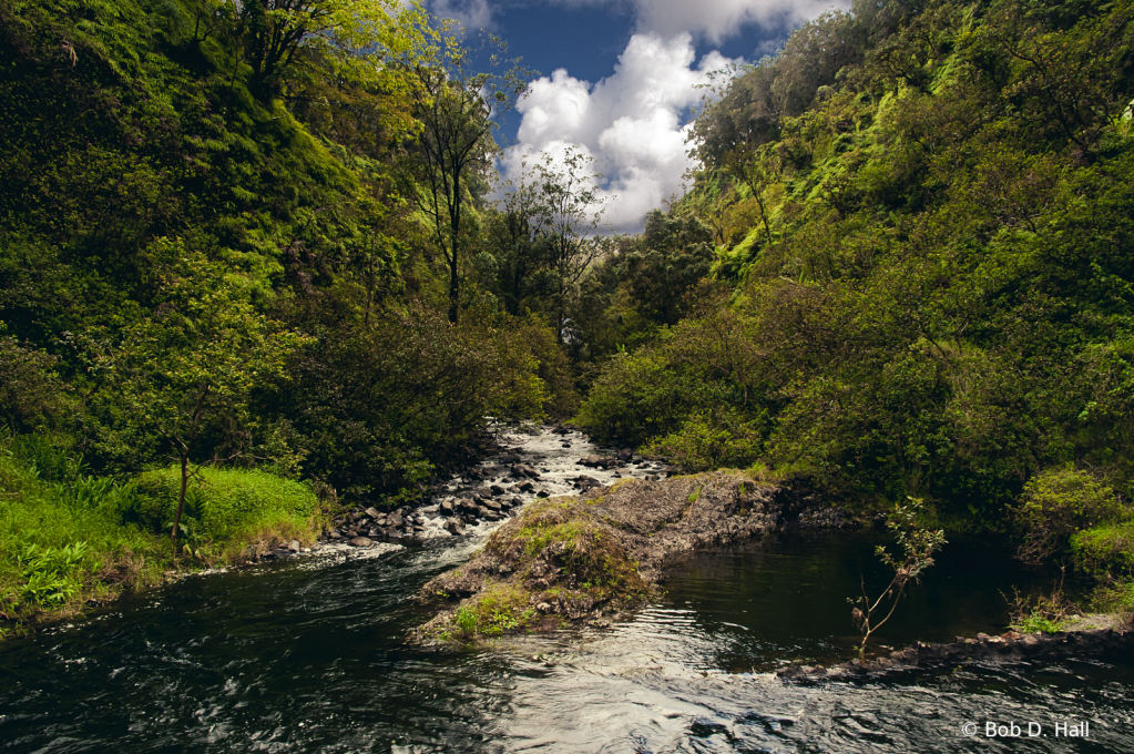 Mountain Stream